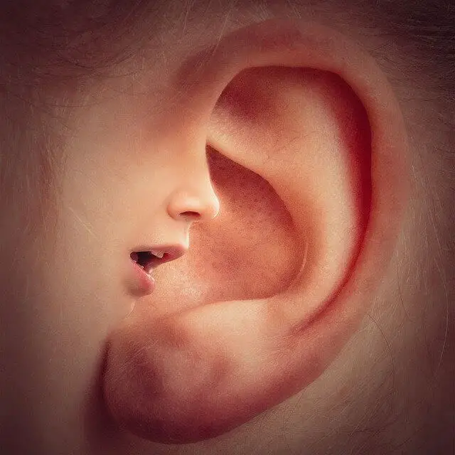 ear-image