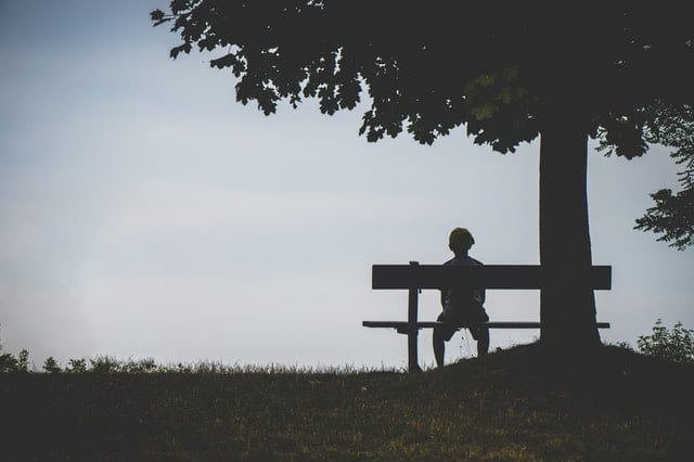 person-sitting-on-bench-under-tree