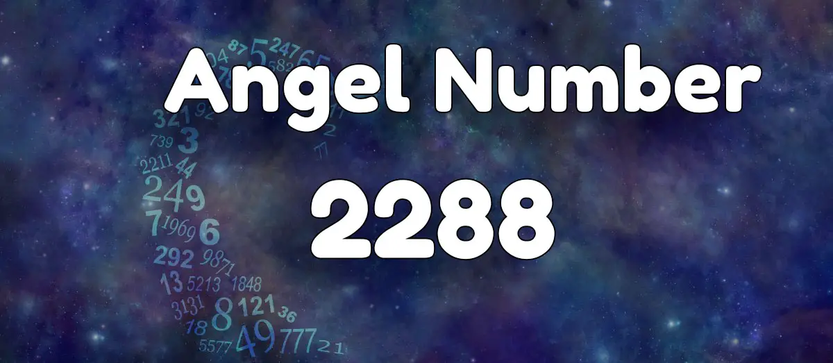 angel-number-2288-header